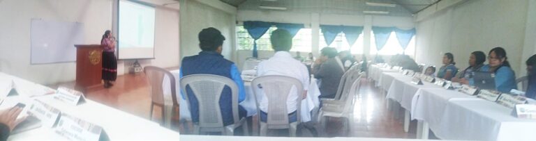 CAPACITACIÓN AL COMUDE DE SANTA MARÍA VISITACIÓN, SOLOLÁ