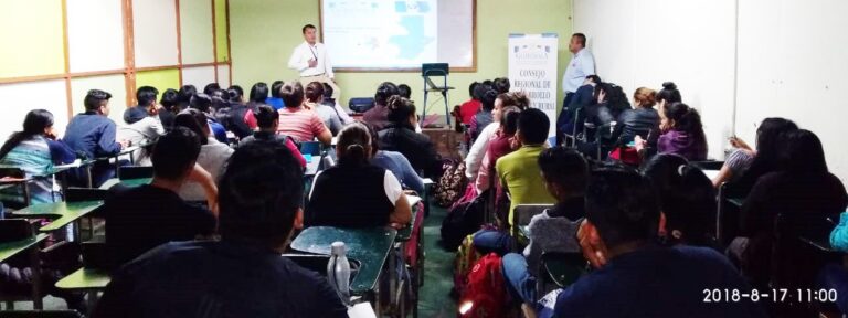 CAPACITACIÓN SISCODE EN COLEGIO DE SAN MARCOS