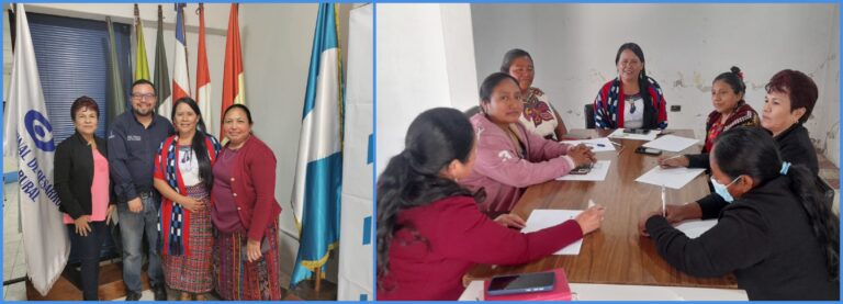 ELECCIÓN EN EL COREDUR SUROCCIDENTE, DEL SECTOR MUJERES