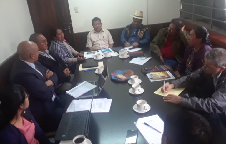 ELECCIÓN REPRESENTANTES DE PUEBLOS ÍNDIGENAS