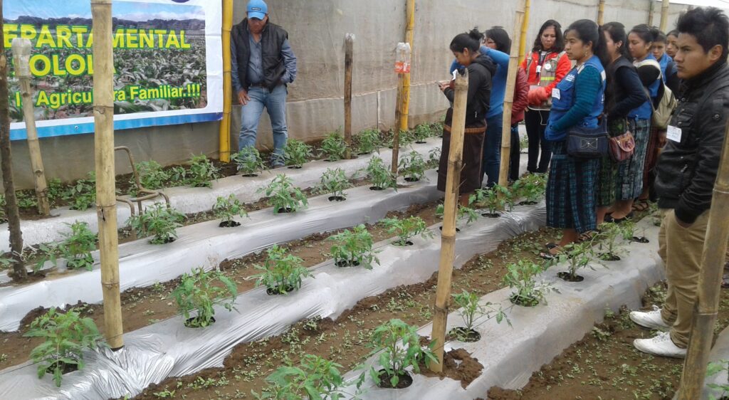 INTERCAMBIO DE EXPERIENCIAS EN EL MARCO DE LA PNDRI SOLOLÁ