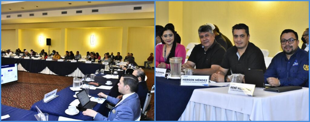 PARTICIPACIÓN EN LA REUNIÓN DEL PNUD, CIUDAD DE GUATEMALA