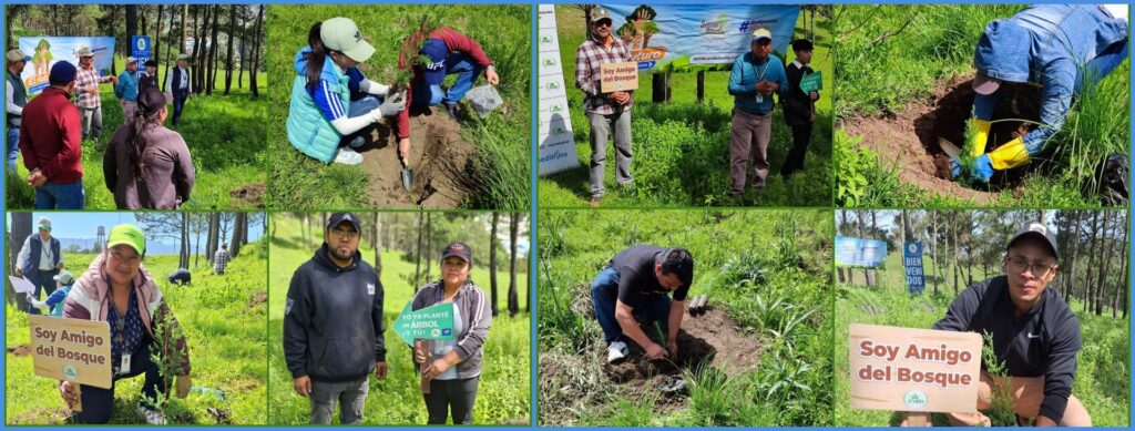 PARTICIPACIÓN EN REFORESTACIÓN, QUETZALTENANGO