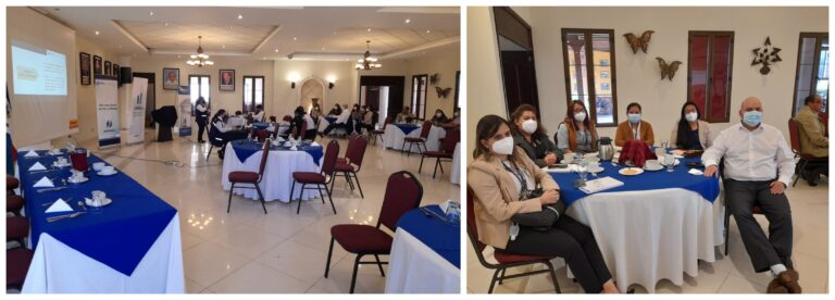 PARTICIPACIÓN EN TALLER DE LA DIFOPAZ