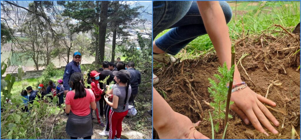 REFORESTACIÓN EN EL COREDUR SUROCCIDENTE