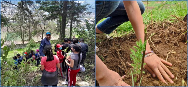 REFORESTACIÓN EN EL COREDUR SUROCCIDENTE