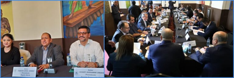 REUNIÓN DE LA COMISIÓN DE DESCENTRALIZACIÓN Y FORTALECIMIENTO DEL CONADUR