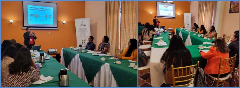 REUNIÓN EN LA METROPOLÍ DE LOS ALTOS