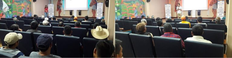 SEGUNDO MODULO DIPLOMADO, SAN RAFAEL PIE DE LA CUESTA