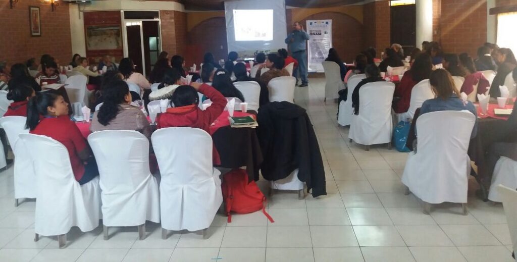 SOCIALIZACIÓN DEL SISCODE A LA RED DE DMM, SAN MARCOS