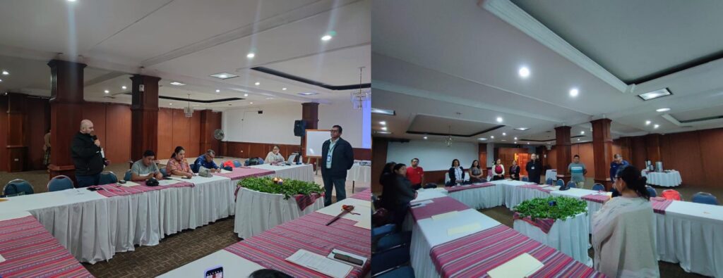 TALLER DE LA COMISIÓN DE PUEBLOS INDÍGENAS