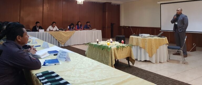 TALLER REGIONAL COMISIÓN PUEBLOS INDÍGENAS